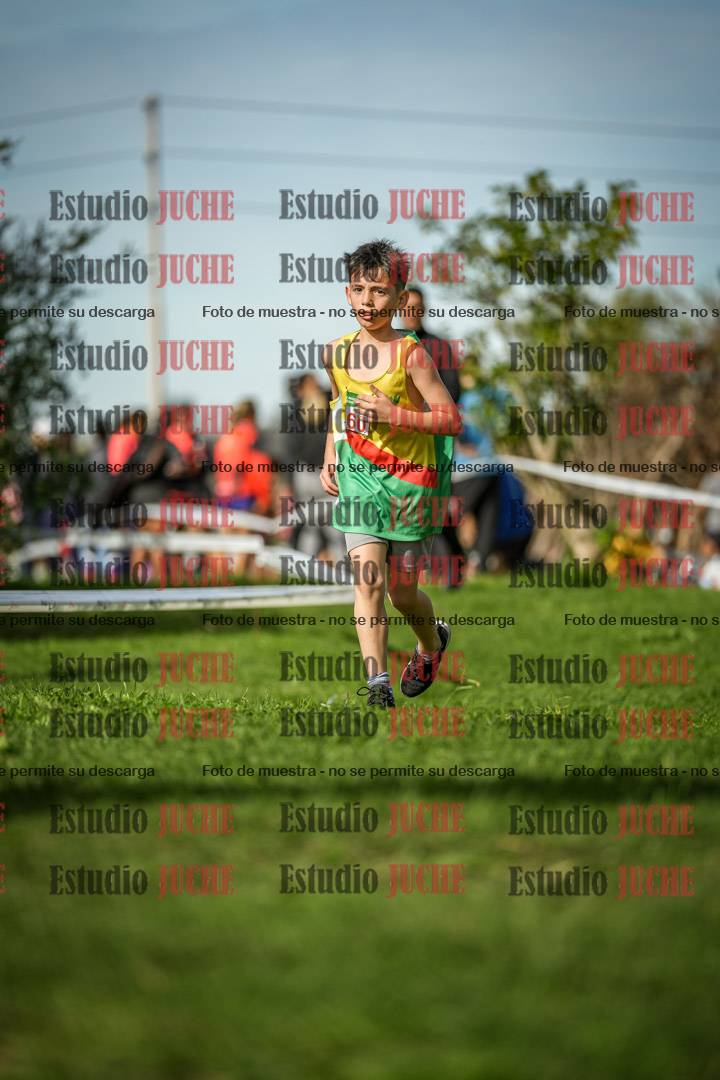 Fotos de la llegada del cross de 1000 m