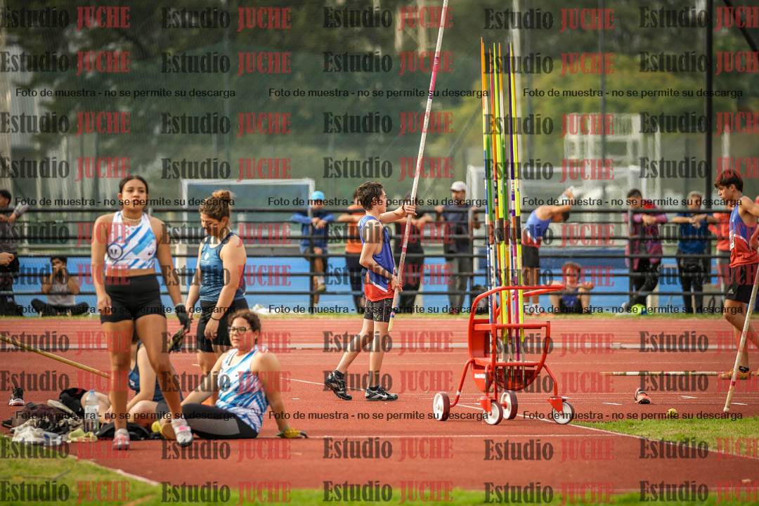 Fotos del salto con garrocha de varones
