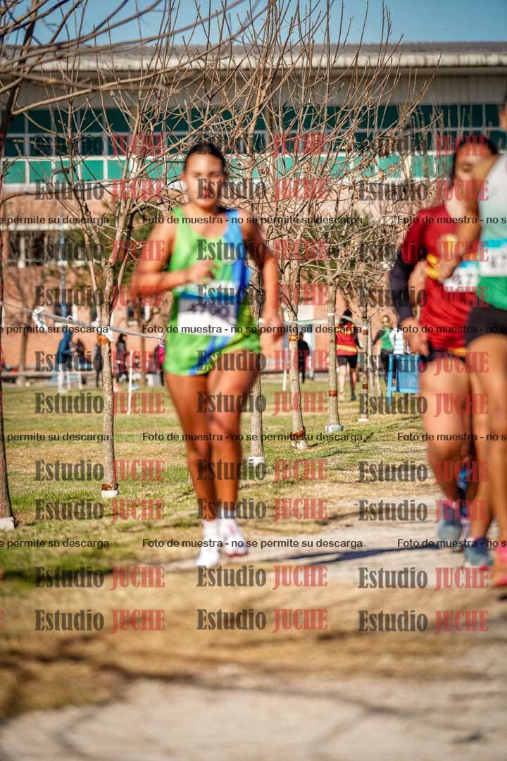 Fotos en el circuito