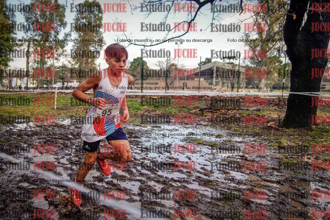 Fotos en el circuito