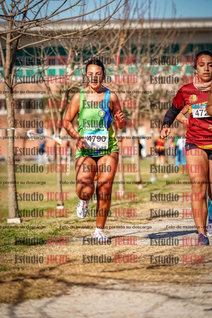 Fotos en el circuito
