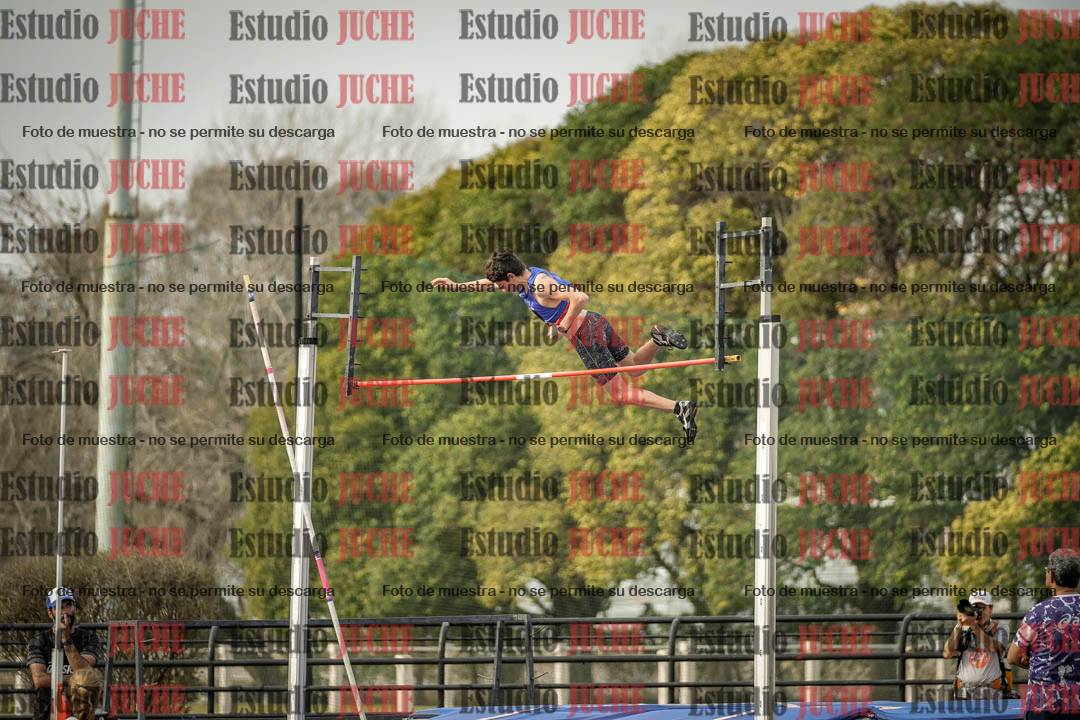 Fotos del salto con garrocha de varones