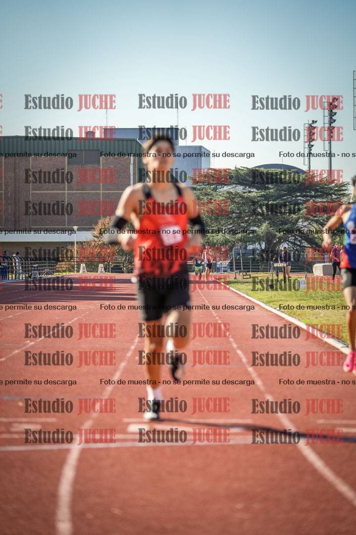 Fotos de los 800 m llanos de varones