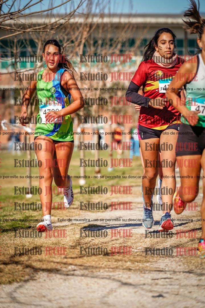 Fotos en el circuito