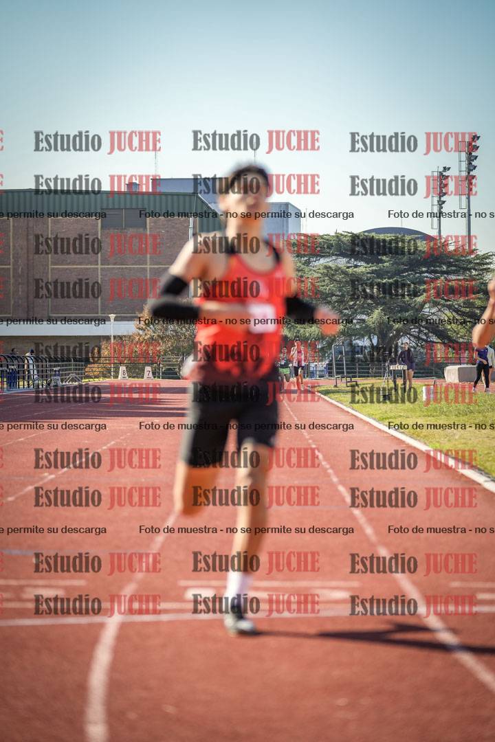 Fotos de los 800 m llanos de varones