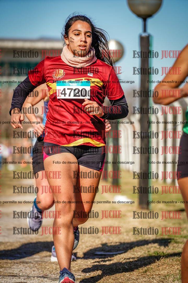 Fotos en el circuito