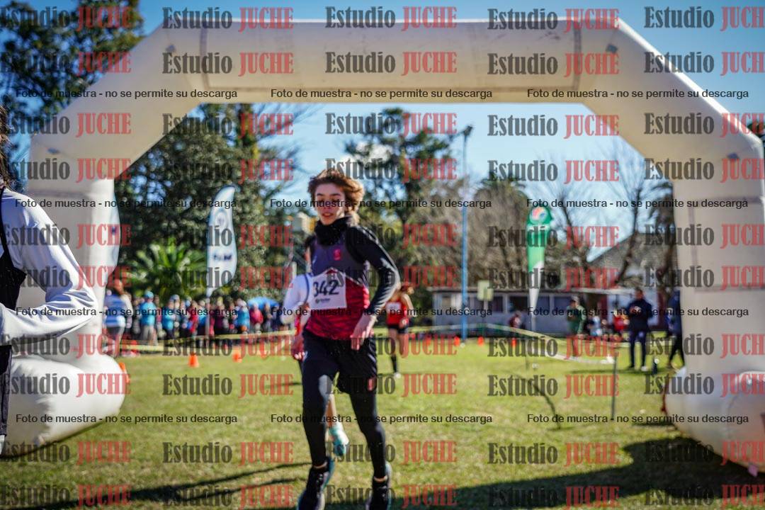 Fotos de la llegada del cross de 1500 m