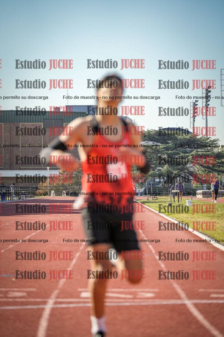 Fotos de los 800 m llanos de varones