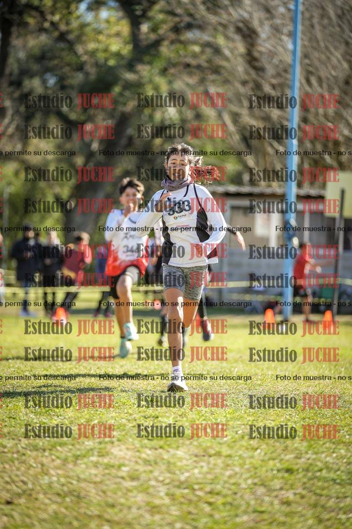 Fotos de la llegada del cross de 1500 m