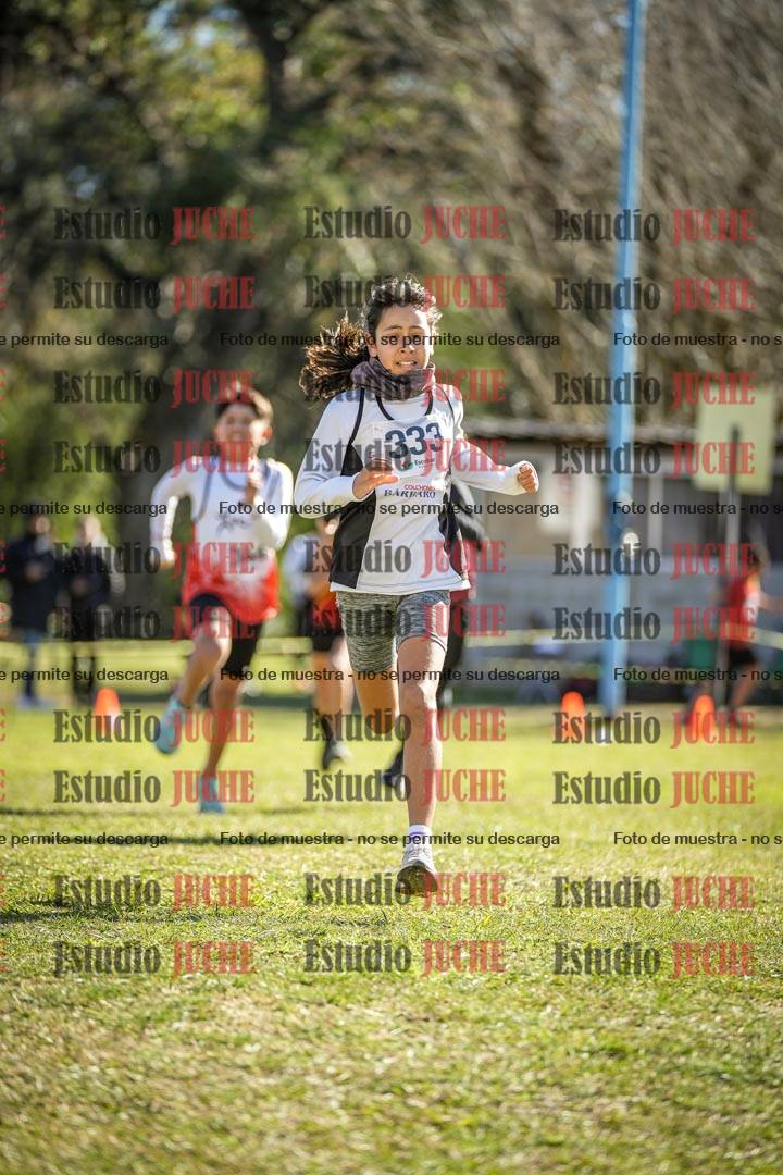 Fotos de la llegada del cross de 1500 m