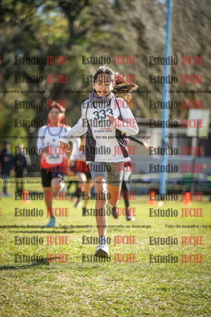 Fotos de la llegada del cross de 1500 m