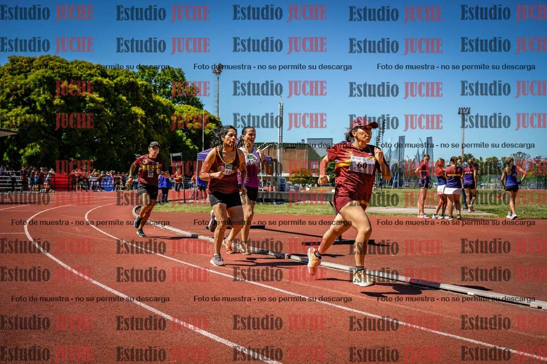 Fotos de los 800 m llanos de mujeres