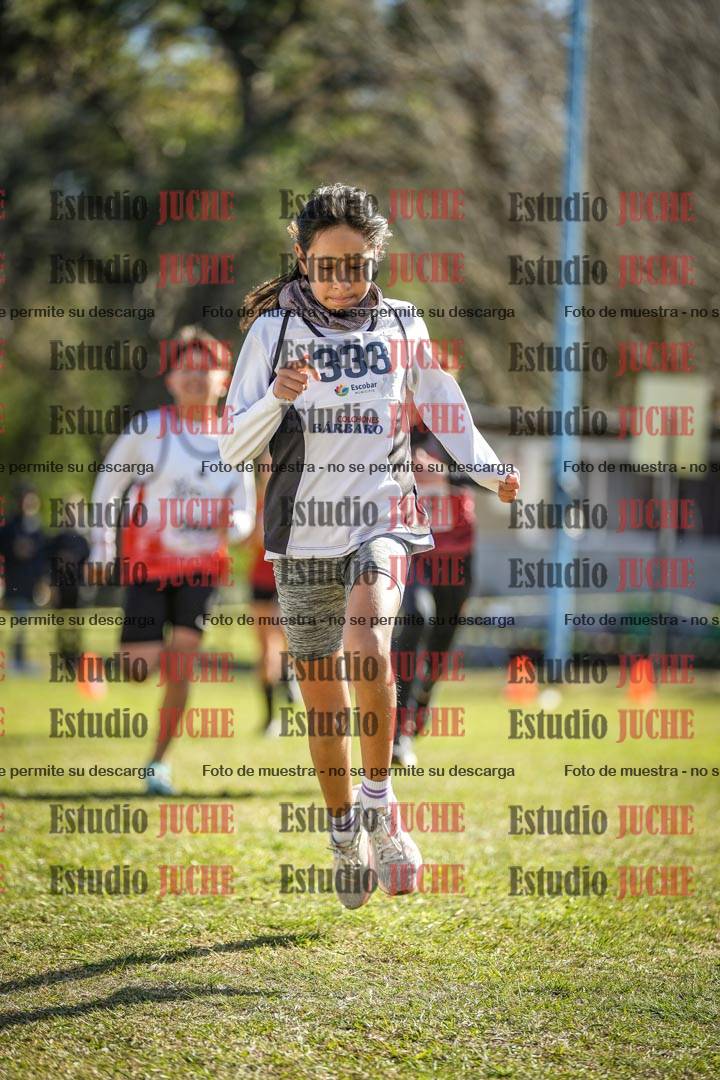 Fotos de la llegada del cross de 1500 m