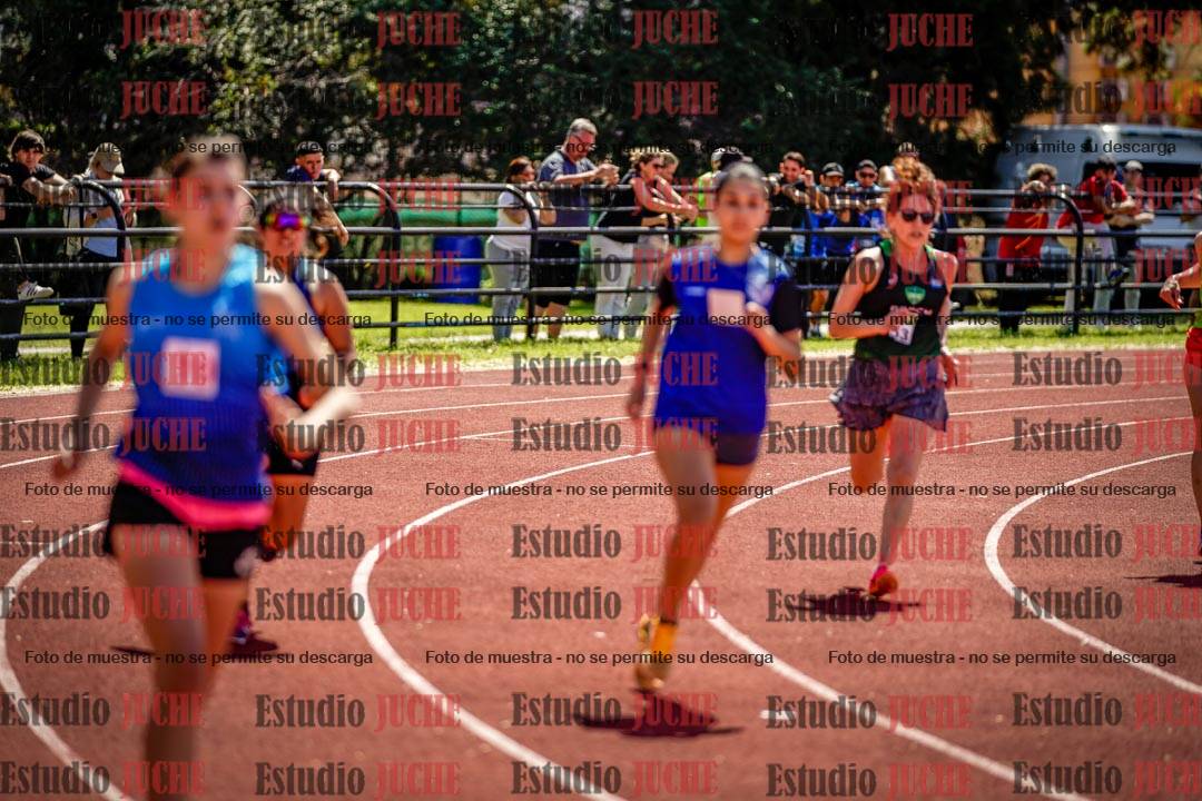 Fotos de los 800 m llanos de mujeres