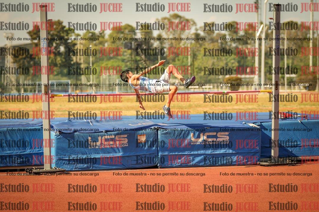 Fotos del salto en alto de varones