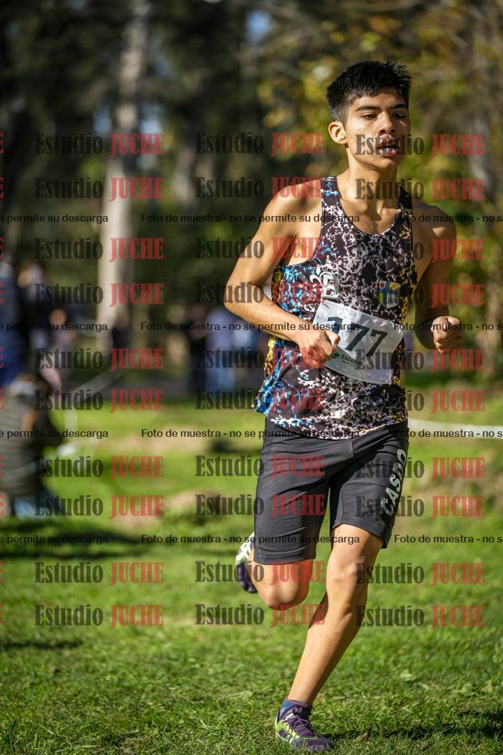 Fotos en el tercer punto del circuito