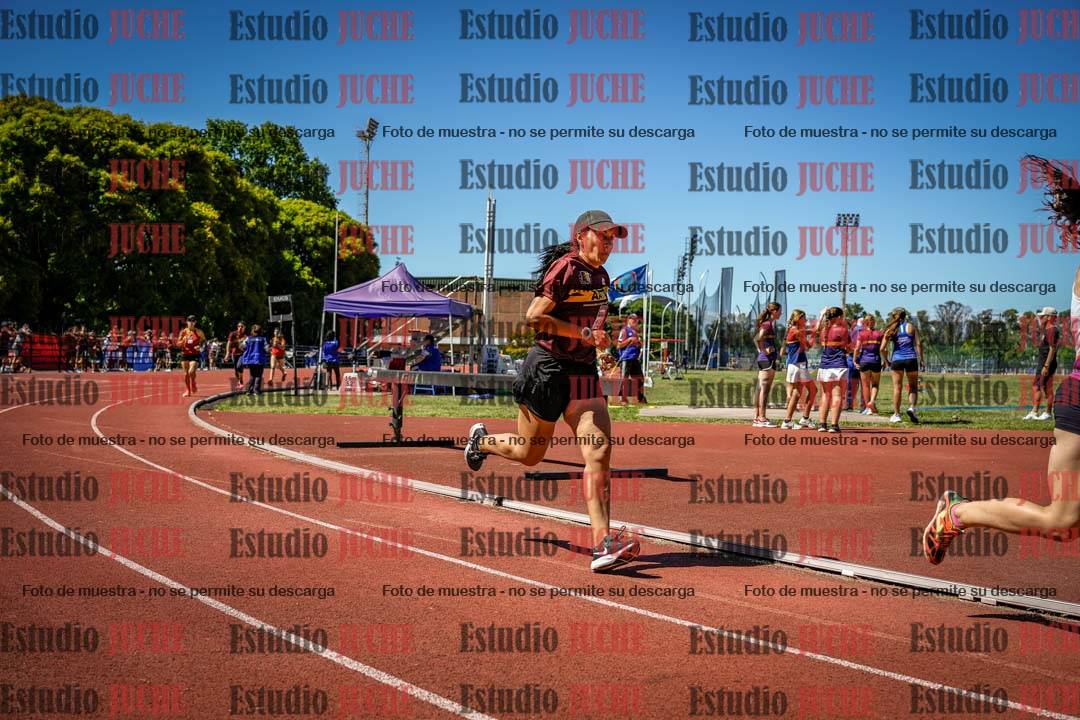 Fotos de los 800 m llanos de mujeres