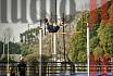 Fotos del salto con garrocha de varones