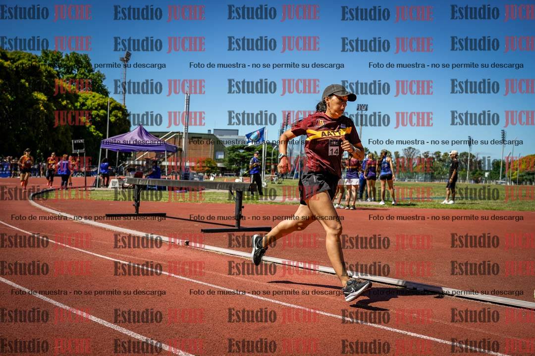 Fotos de los 800 m llanos de mujeres