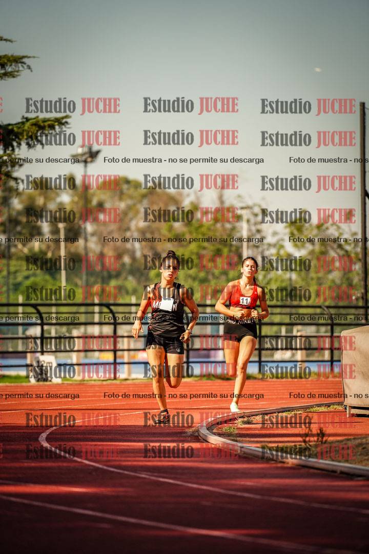 Fotos de los 800 m llanos de mujeres
