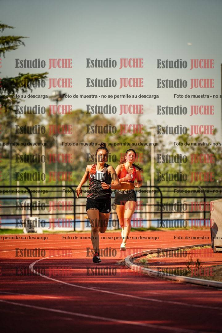Fotos de los 800 m llanos de mujeres