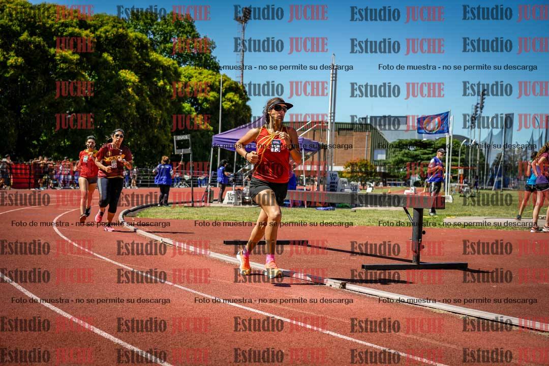 Fotos de los 800 m llanos de mujeres