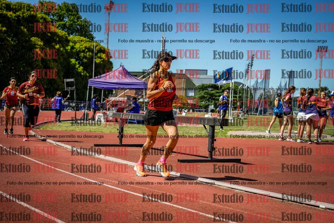 Fotos de los 800 m llanos de mujeres