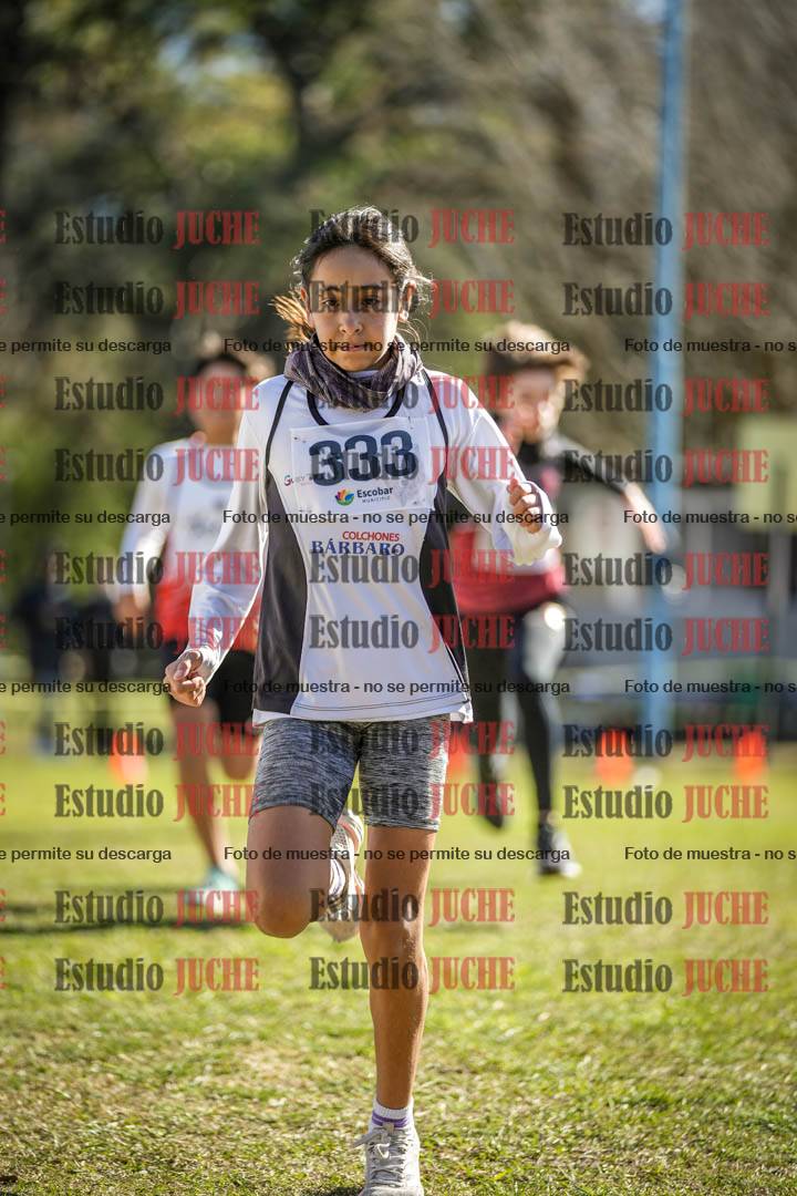 Fotos de la llegada del cross de 1500 m