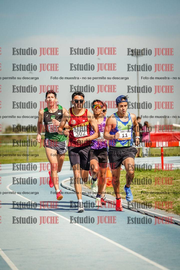 Fotos de los 3000 m llanos de varones