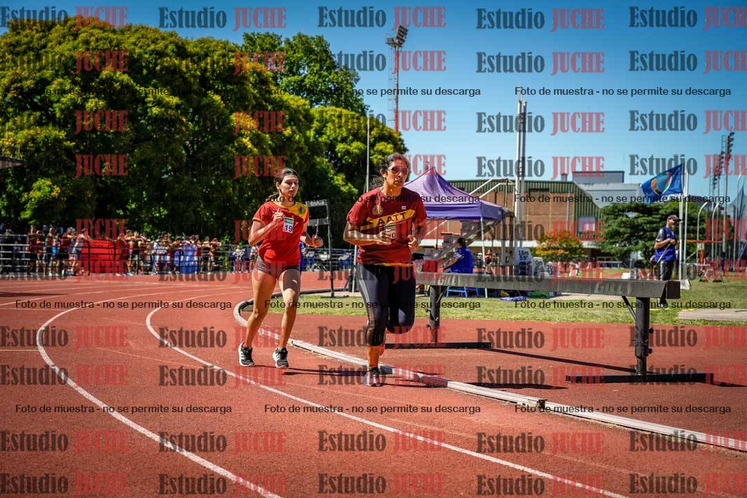 Fotos de los 800 m llanos de mujeres