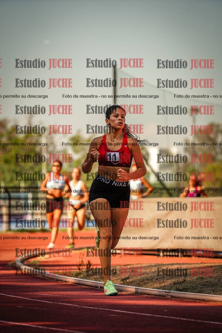 Fotos de los 800 m llanos de mujeres