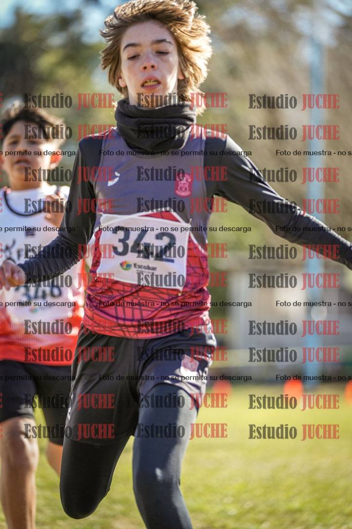 Fotos de la llegada del cross de 1500 m