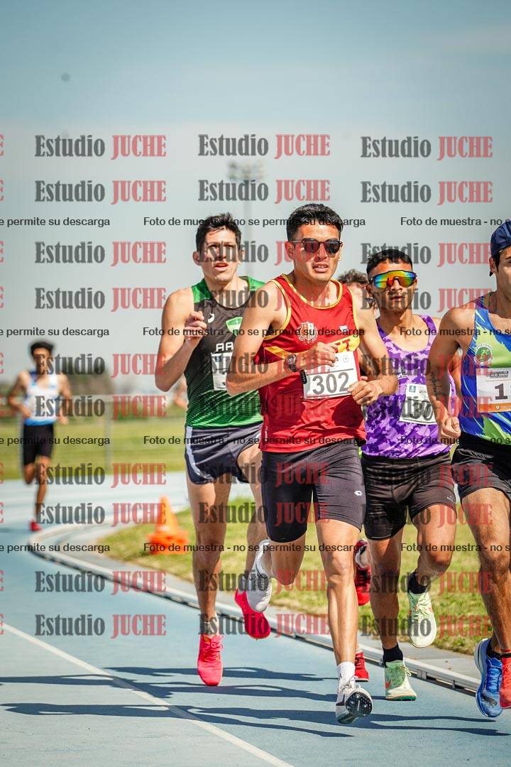 Fotos de los 3000 m llanos de varones