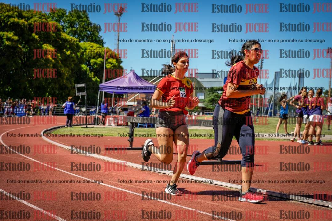 Fotos de los 800 m llanos de mujeres