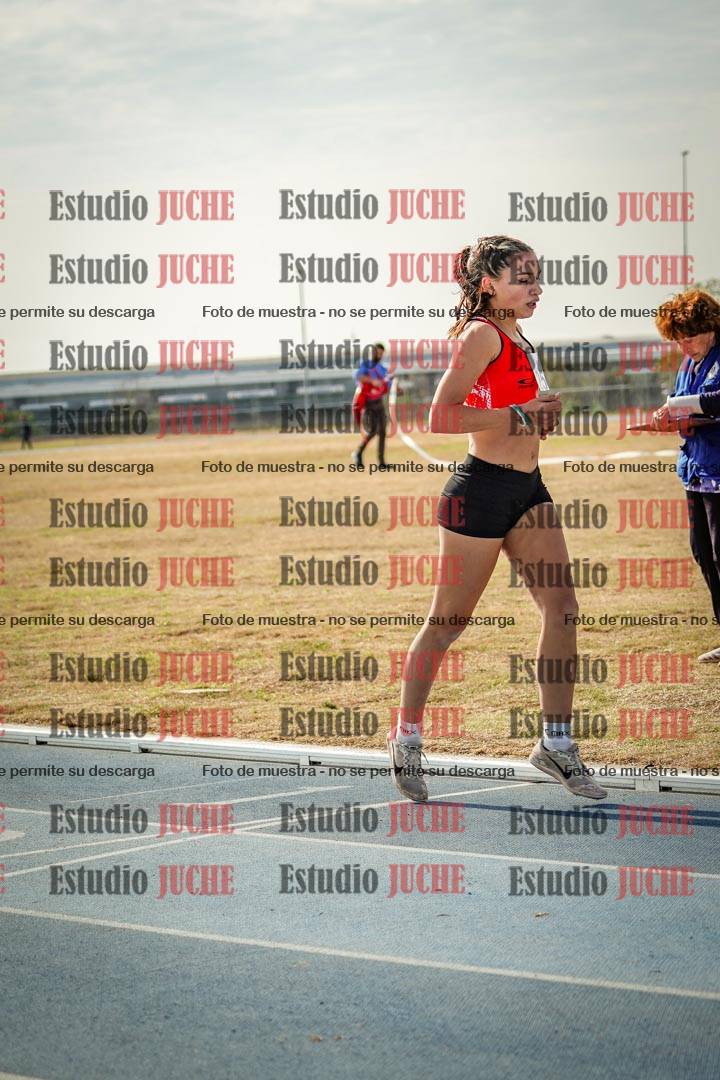 Fotos de los 800 m llanos de mujeres - combinadas 7