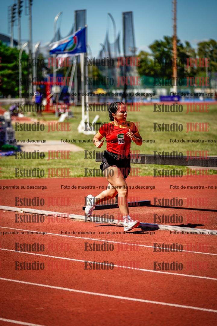 Fotos de los 800 m llanos de mujeres
