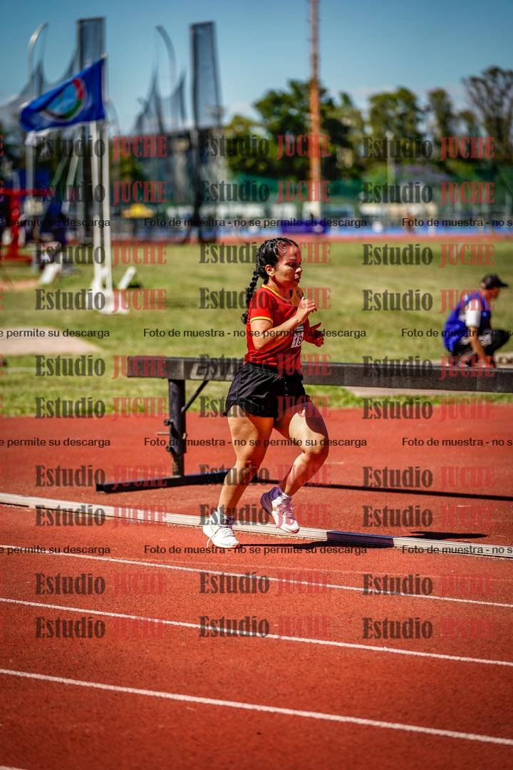 Fotos de los 800 m llanos de mujeres