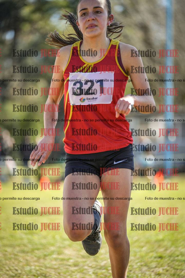 Fotos de la llegada del cross de 1500 m