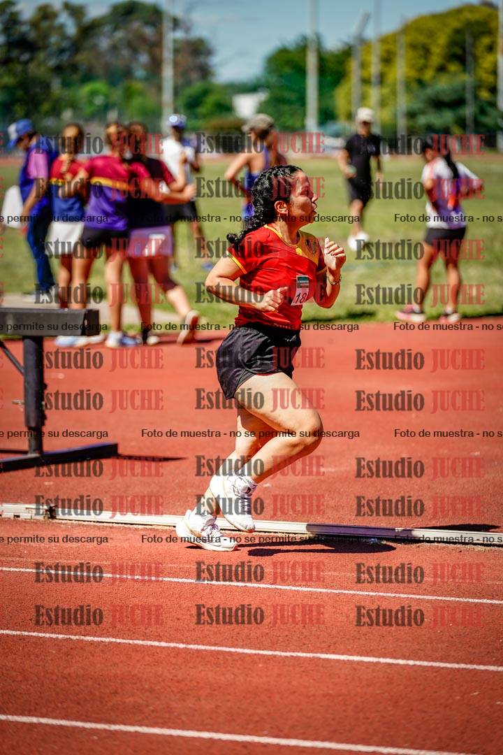 Fotos de los 800 m llanos de mujeres