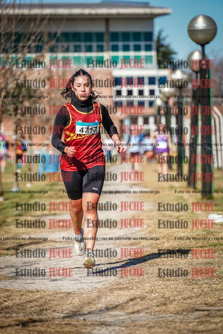 Fotos en el circuito