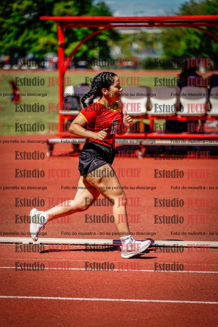 Fotos de los 800 m llanos de mujeres