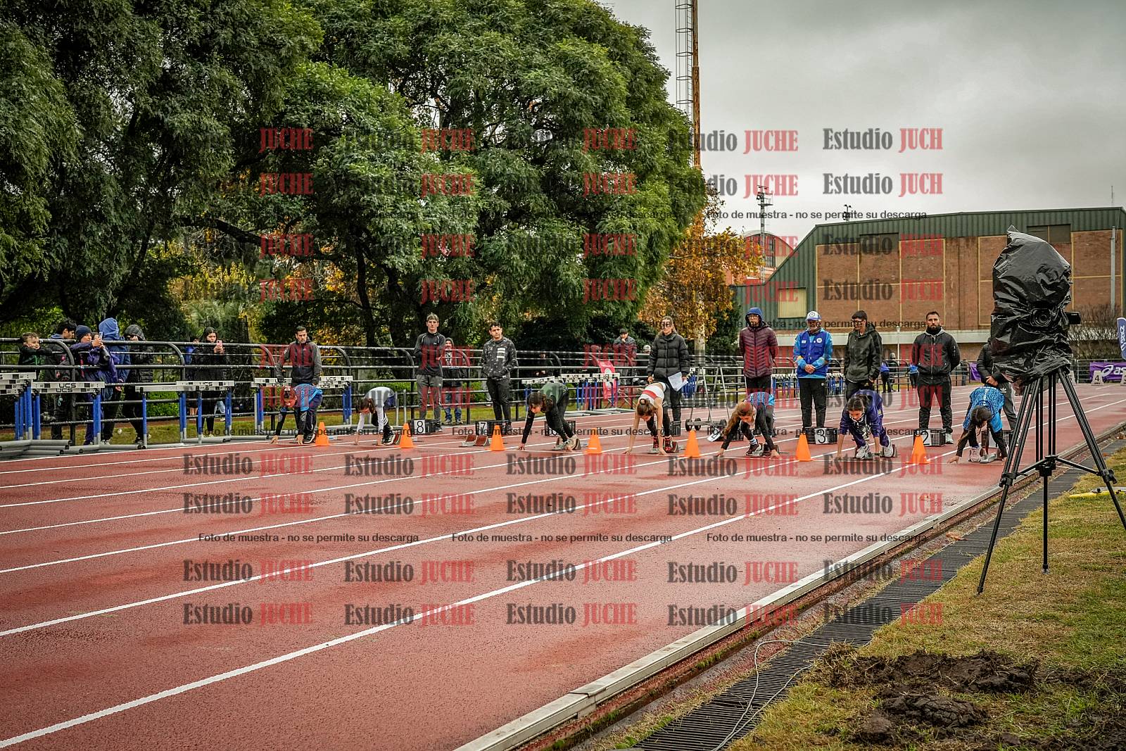 Fotos de los 50 m llanos de mujeres
