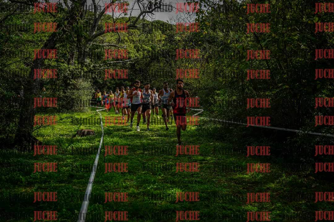 Fotos en el circuito