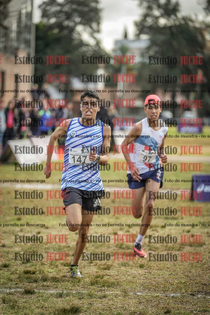 Fotos de la llegada
