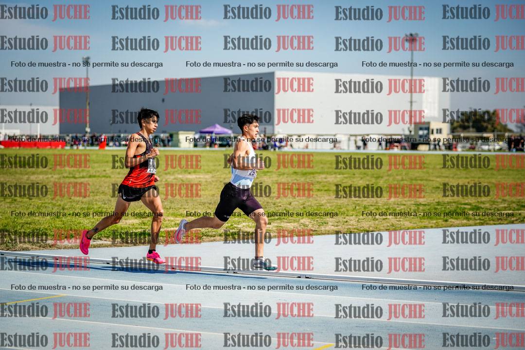 Fotos de los 3000 m llanos de varones