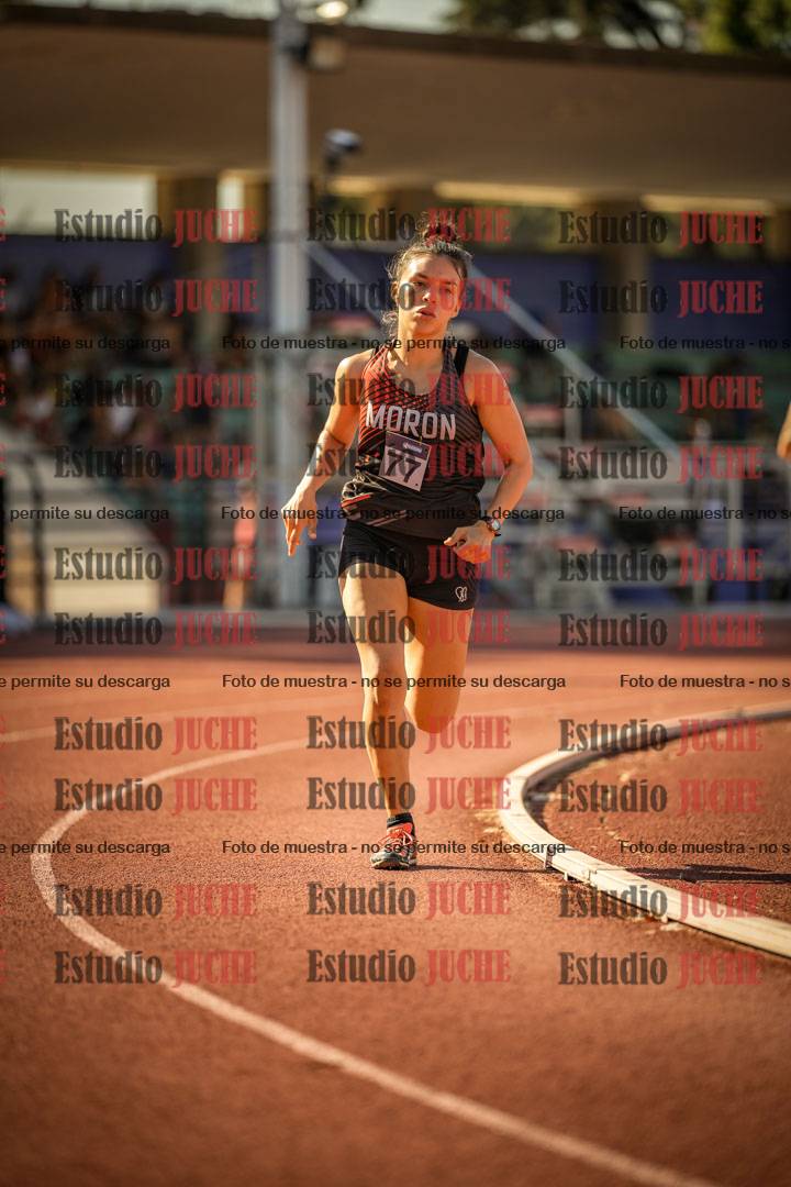 Fotos de los 800 m llanos de mujeres