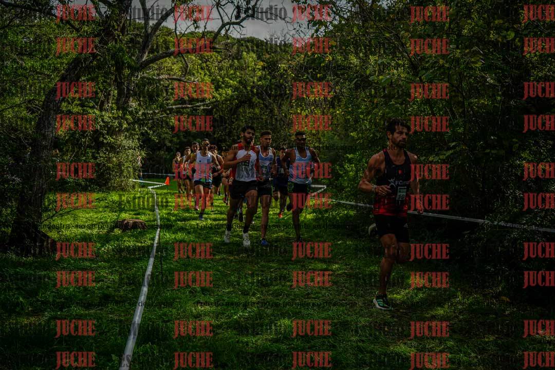 Fotos en el circuito