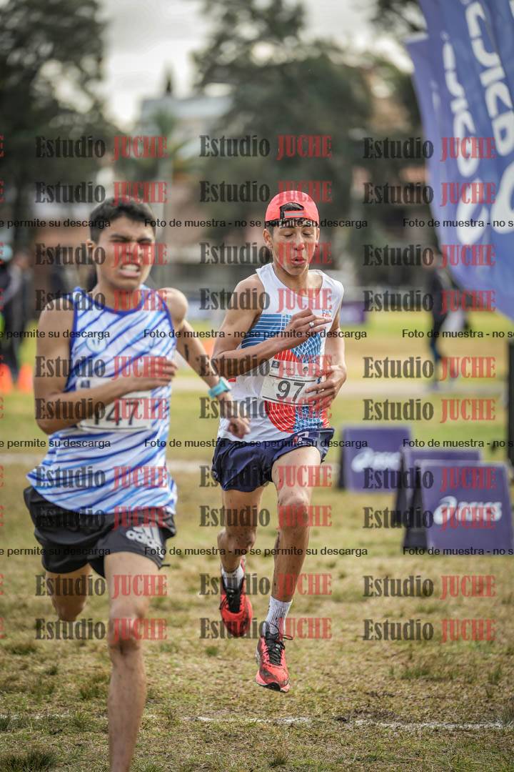 Fotos de la llegada