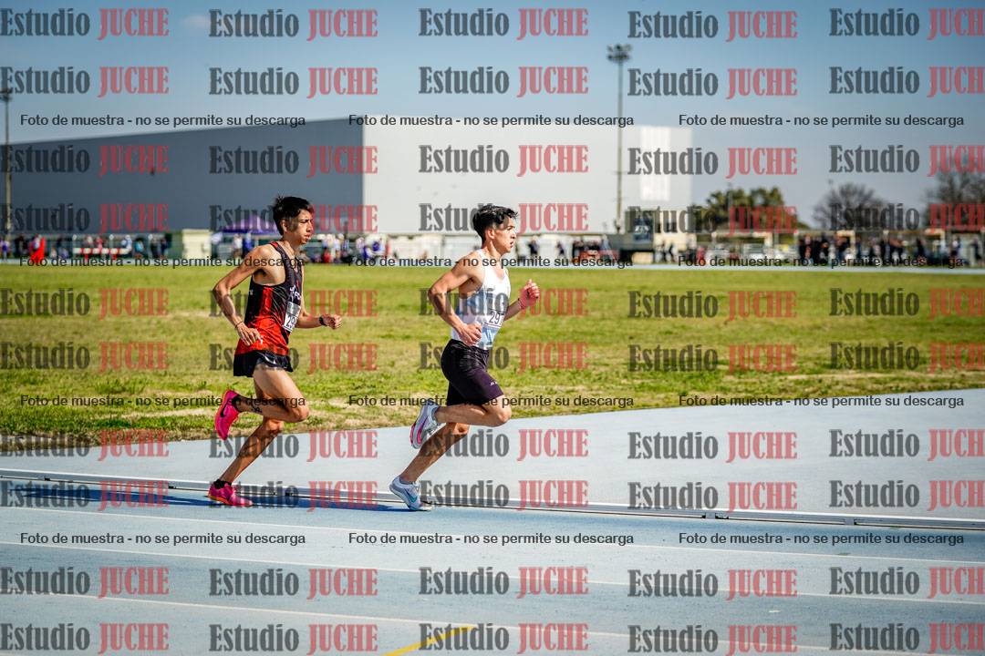 Fotos de los 3000 m llanos de varones