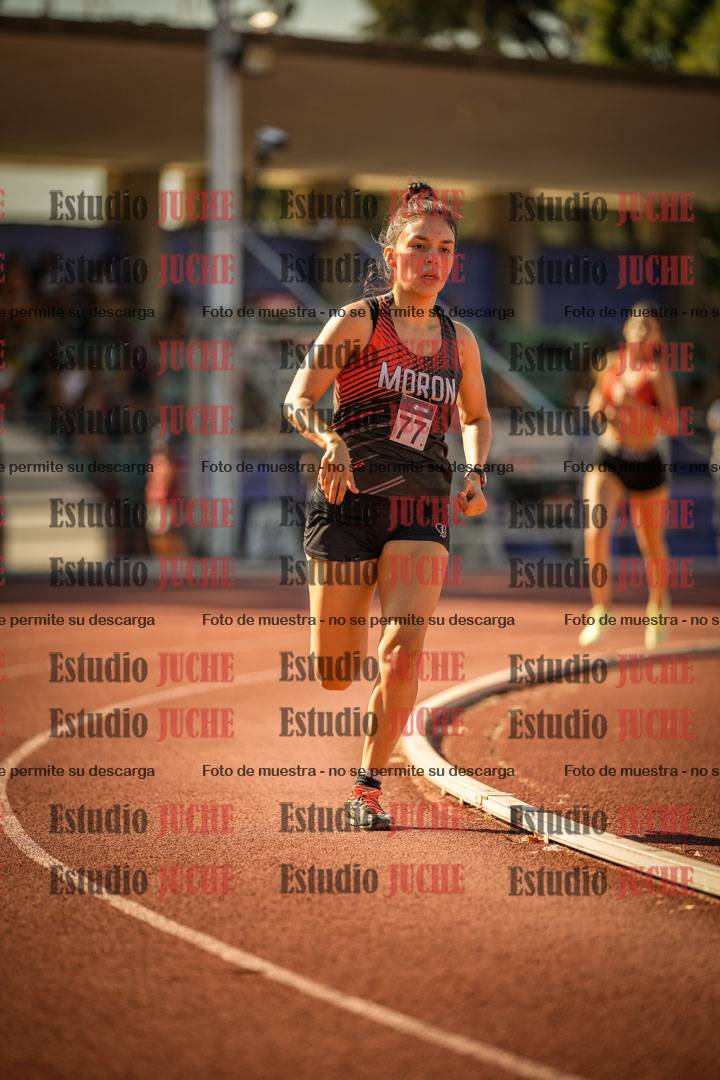 Fotos de los 800 m llanos de mujeres